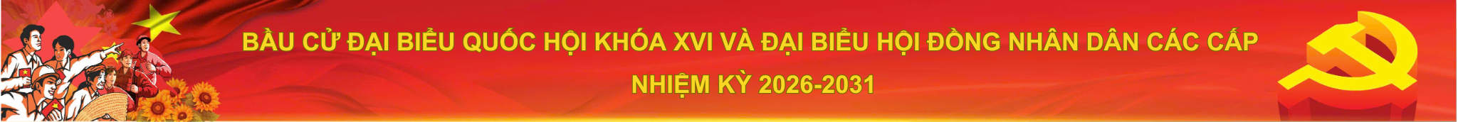 banner-bau-cu-dai-bieu