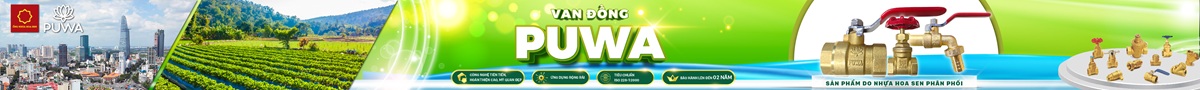 hoa-sen
