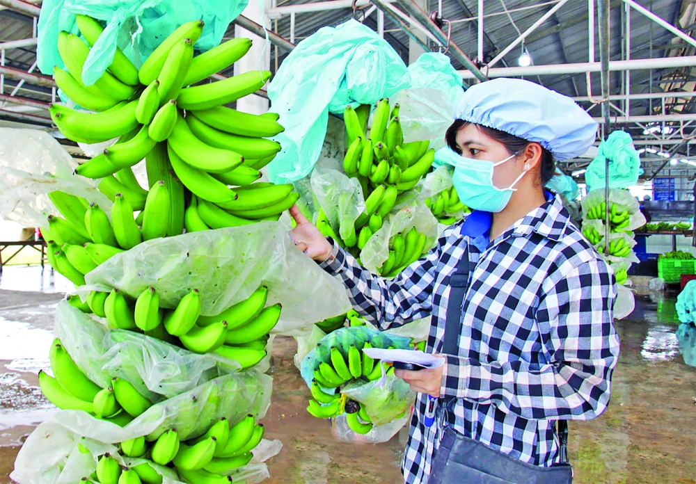 Khắc phục tồn tại để nông sản vươn xa