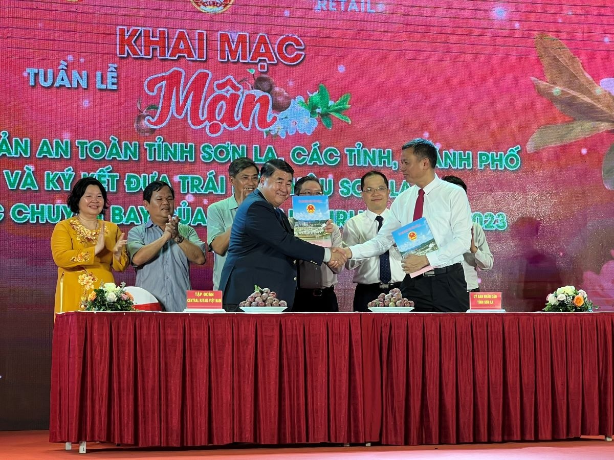 Sơn La đưa mận và nông sản an toàn đến Hà Nội