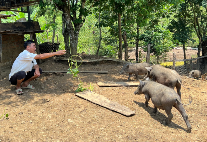 Làm giàu nhờ nguồn vốn Agribank