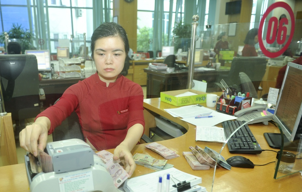 Vốn ngân hàng giúp sản xuất nông nghiệp theo hướng bền vững