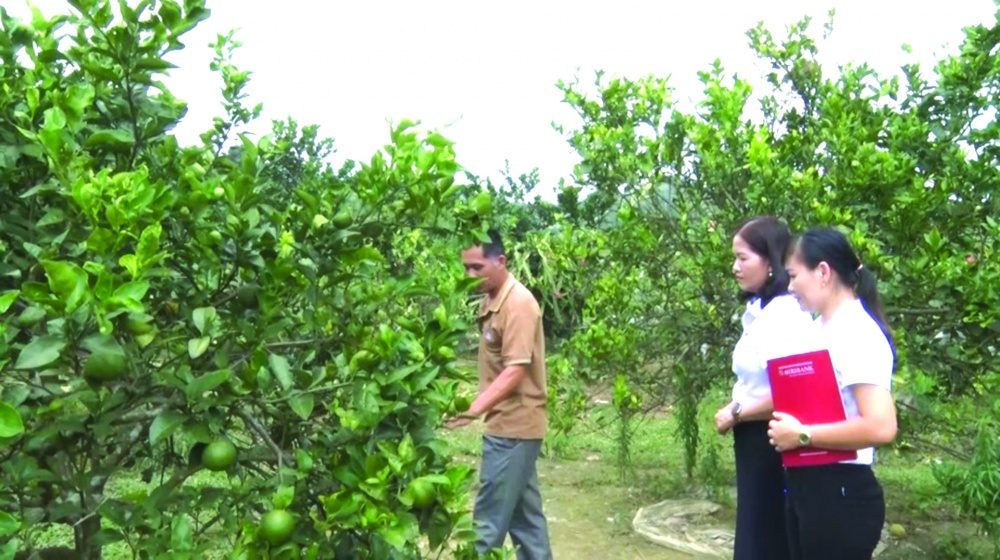 Tập trung vốn cho tam nông