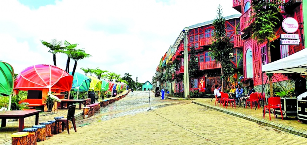 Sức sống Tây Nguyên