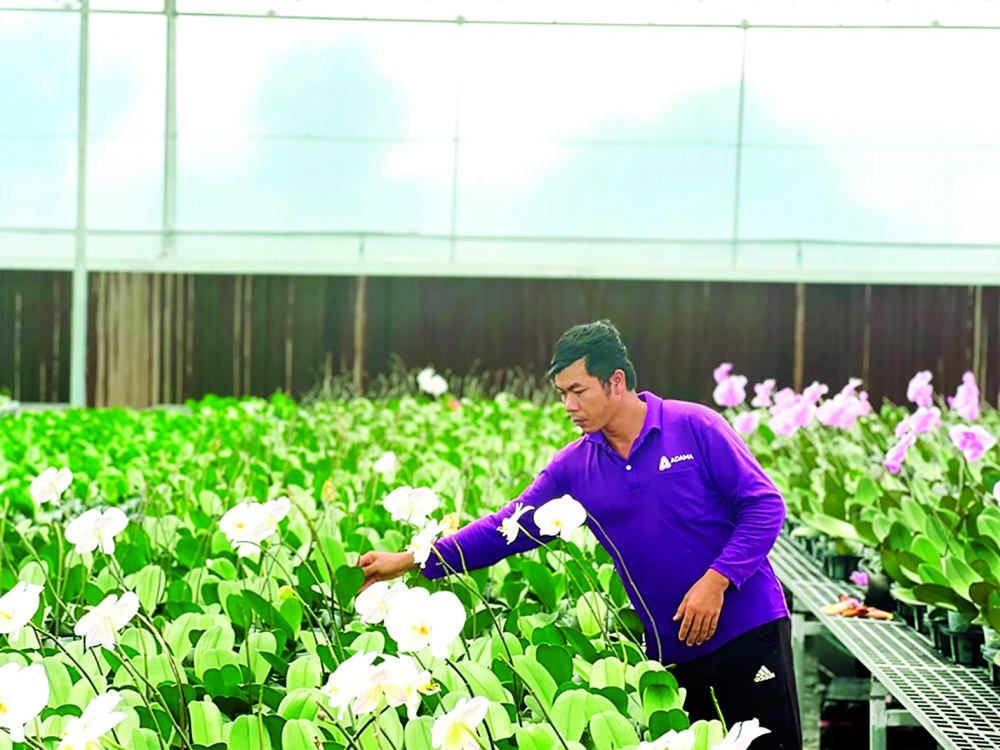 Tiếp sức cho nông nghiệp công nghệ cao phát triển
