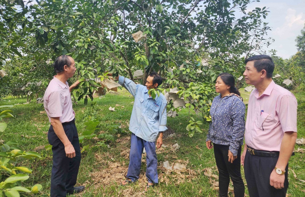 Hà Tĩnh: Tăng cường lãnh đạo, chỉ đạo hoạt động tín dụng chính sách xã hội