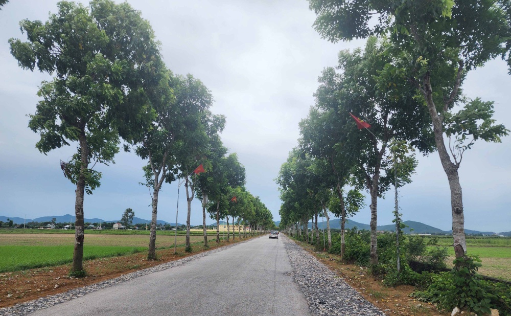 Hà Tĩnh: Hơn 95 tỷ đồng hỗ trợ xây dựng nông thôn mới