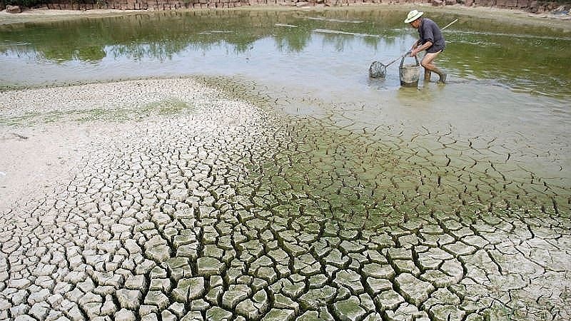 Các ngân hàng phát triển đa phương thúc đẩy hành động chung về khí hậu và phát triển