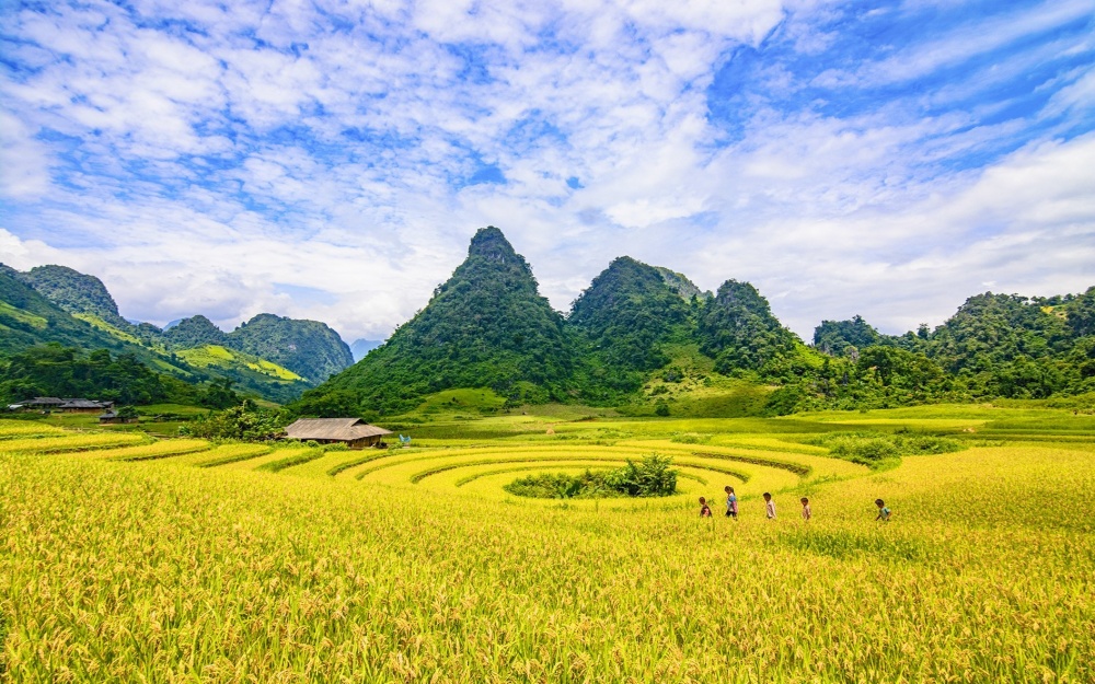 Hợp tác giữa các doanh nghiệp du lịch Tây Bắc và TP. Hồ Chí Minh