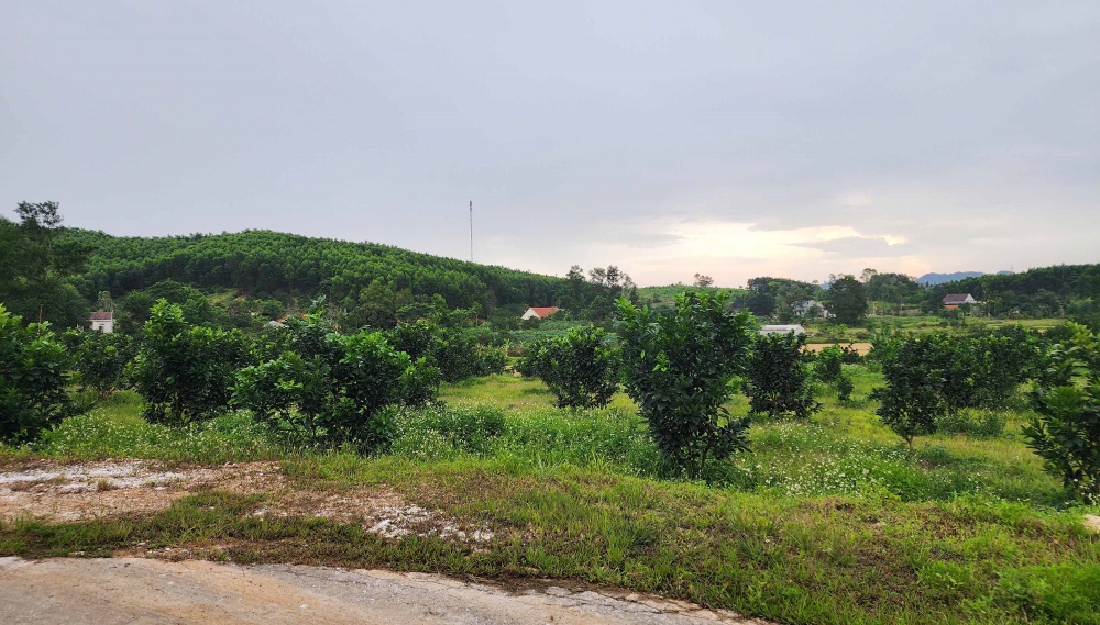 Hà Tĩnh cho vay hỗ trợ người chấp hành xong án phạt tù
