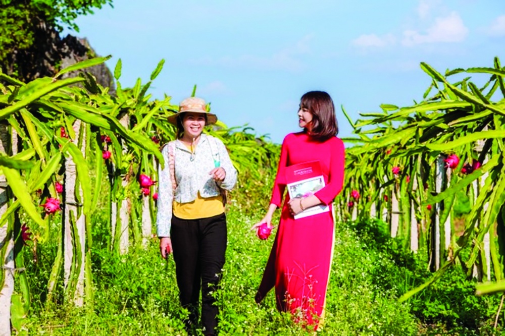 Quyết tâm thúc đẩy tín dụng xanh