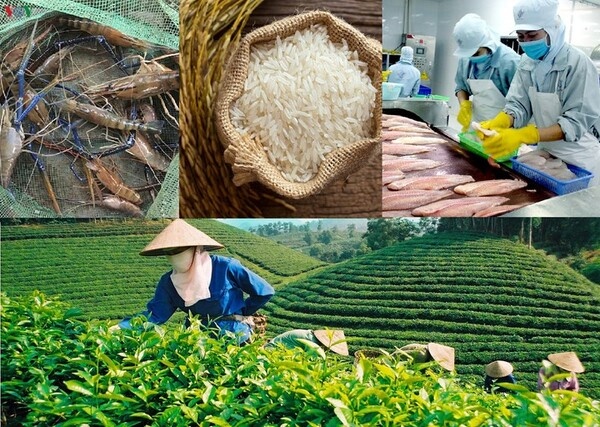Áp thuế VAT cho vật tư nông nghiệp cần phù hợp thực tiễn