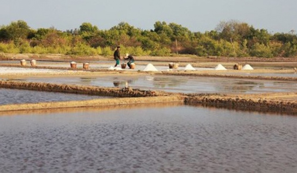 TP. Hồ Chí Minh khuyến khích đầu tư phát triển du lịch nông nghiệp