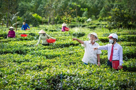 Thi đua là yêu nước: Nguồn sức mạnh nội sinh để Agribank vững bước tiên phong