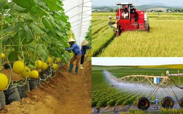 Điều kiện công nhận xã đạt chuẩn nông thôn mới, nông thôn mới hiện đại