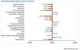 Dầu khí và Xây dựng tăng giá, VN-Index vẫn giảm 8,38 điểm