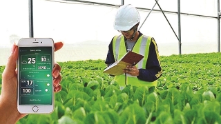 Đẩy mạnh nghiên cứu ứng dụng khoa học trong nông nghiệp