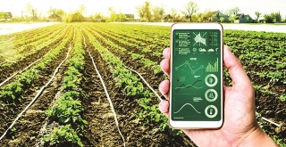 Nông nghiệp công nghệ cao: Không chỉ là nguồn vốn