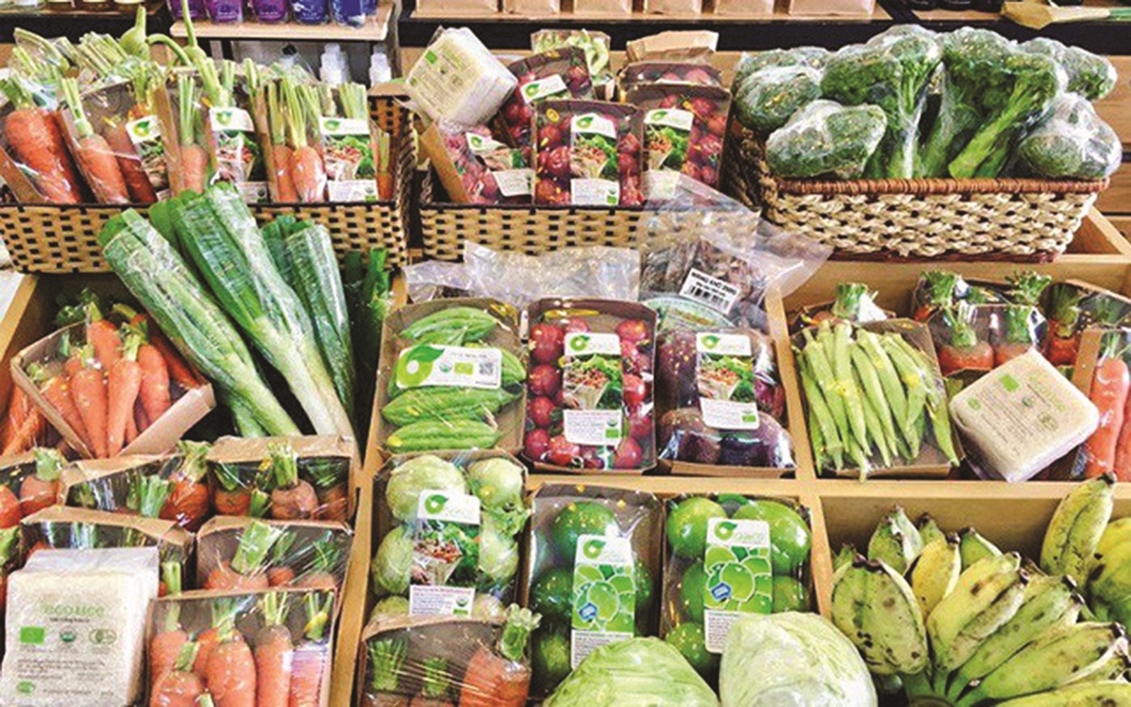 Thực phẩm hữu cơ ngày càng được ưa chuộng