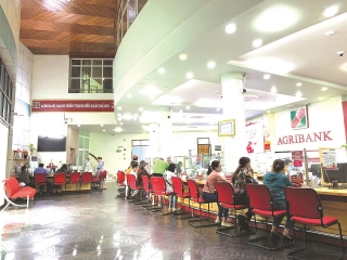 Agribank chi nhánh tỉnh Lào Cai: Quyết tâm vượt khó cùng khách hàng
