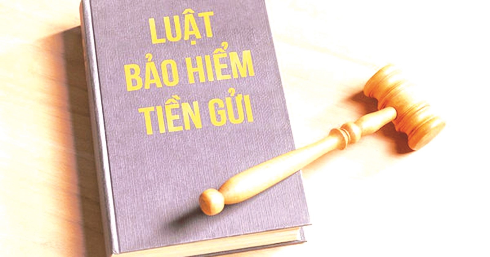 bao ve nguoi gui tien la dong luc de sua doi luat bao hiem tien gui