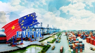 Thuế xuất khẩu ưu đãi thực hiện Hiệp định EVFTA dự kiến từ 14,8-7,5%