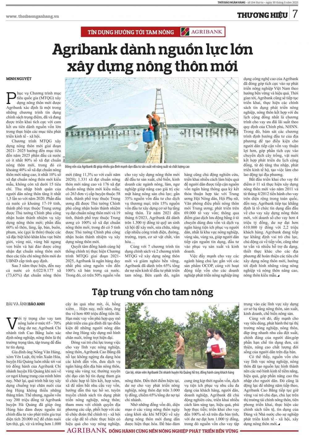 Trang 7